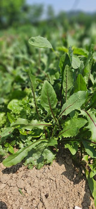 우용태 님의 자유주제 · 사진전 작성글 사진