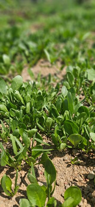 우용태 님의 자유주제 · 사진전 작성글 사진