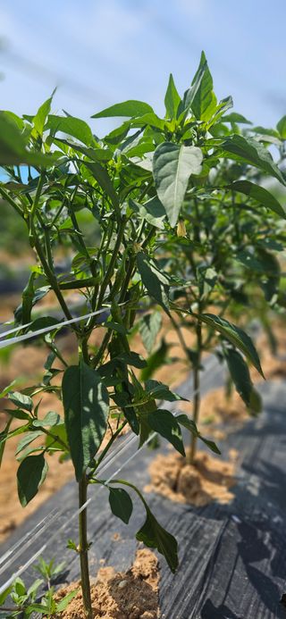 우용태 님의 자유주제 · 사진전 작성글 사진