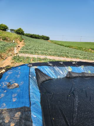 김저팔계님의 기타작물 · 영농일지 작성글 사진