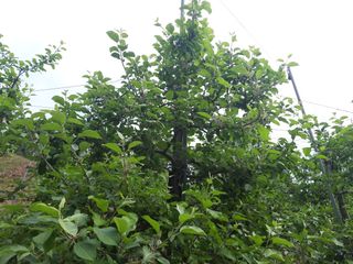 보공(김대호)님의 팜모닝 · 출석 작성글 사진