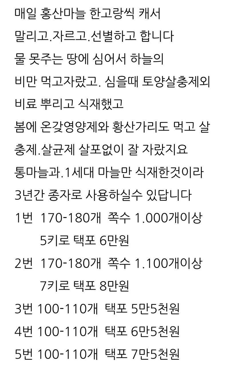 삼성농산님의 장터 판매 상품 [(마감)홍산통마늘로심은 종자용2접가량 택포6만원] 첨부 사진