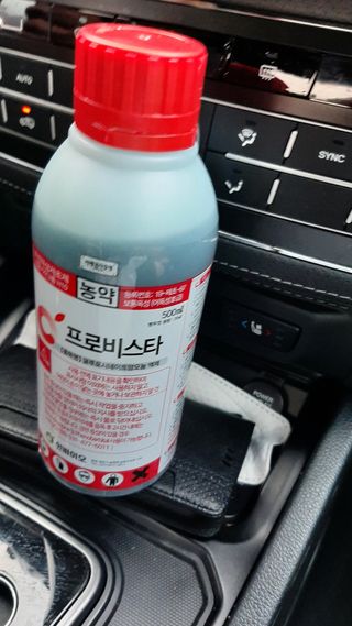 향양농장 사랑합니다님의 감 · 자유게시판 작성글 사진