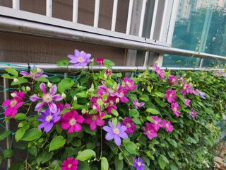 다야님의 자유주제 · 자유게시판 작성글 사진