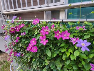 다야님의 자유주제 · 자유게시판 작성글 사진