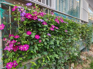 다야님의 자유주제 · 자유게시판 작성글 사진