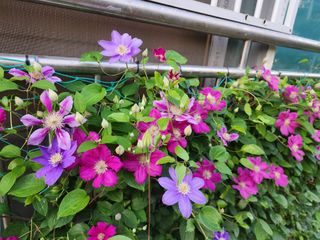 다야님의 자유주제 · 자유게시판 작성글 사진