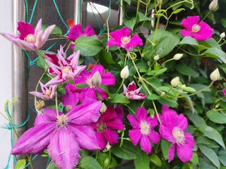 다야님의 자유주제 · 자유게시판 작성글 사진