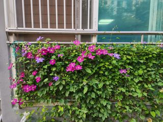 다야님의 자유주제 · 자유게시판 작성글 사진