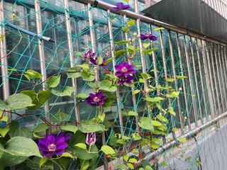 다야님의 자유주제 · 자유게시판 작성글 사진