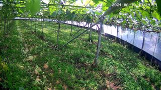 최병일님의 🎤어떤 노래 좋아하세요? · 참여글 작성글 사진