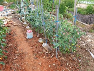 엄기덕님의 사과 · 영농일지 작성글 사진