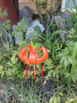 인생은나그네님의 자유주제 · 자유게시판 작성글 사진