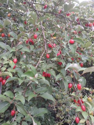 인생은나그네님의 자유주제 · 자유게시판 작성글 사진