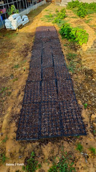 박현주님의 자유주제 · 자유게시판 작성글 사진