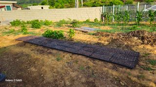 박현주님의 자유주제 · 자유게시판 작성글 사진