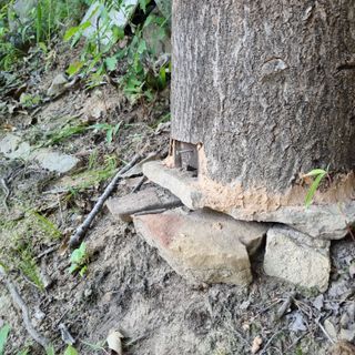 곽철수님의 자유주제 · 자유게시판 작성글 사진