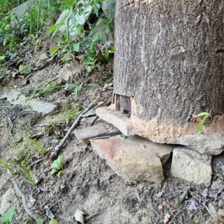 곽철수님의 자유주제 · 자유게시판 작성글 사진