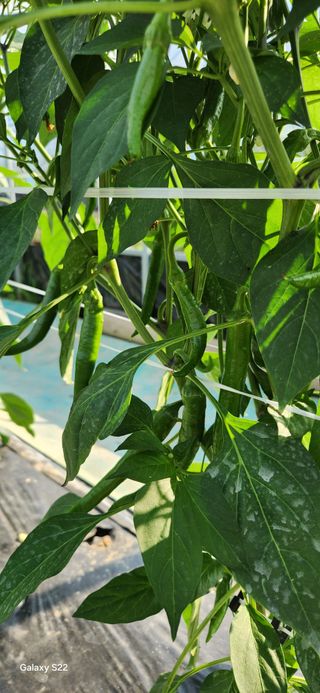 김재일님의 자유주제 · 자유게시판 작성글 사진