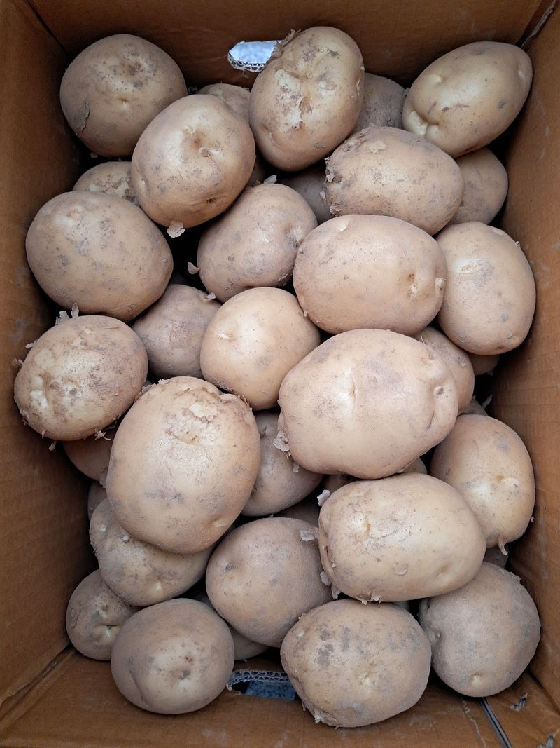 장터 상품 [감자  열무 되장] 썸네일