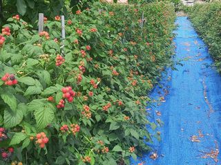 무주김근중님의 자유주제 · 자유게시판 작성글 사진