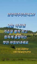 팜모닝 다시만나 반가워요👋🏻·참여글 게시글 이미지