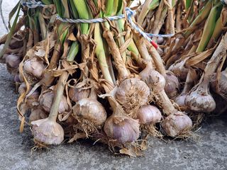 양안모님의 작성글 사진