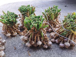 양안모님의 작성글 사진