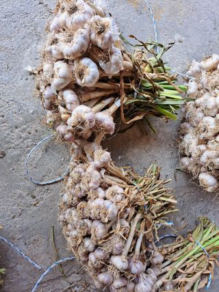 양안모님의 작성글 사진