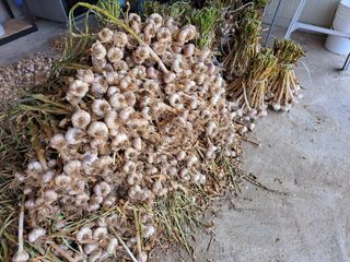 양안모님의 작성글 사진