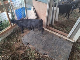 전희분님의 자유주제 · 사진전 작성글 사진