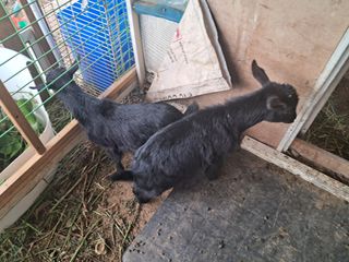 전희분님의 자유주제 · 사진전 작성글 사진