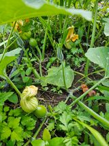 팜모닝 자유주제·자유게시판 게시글 이미지