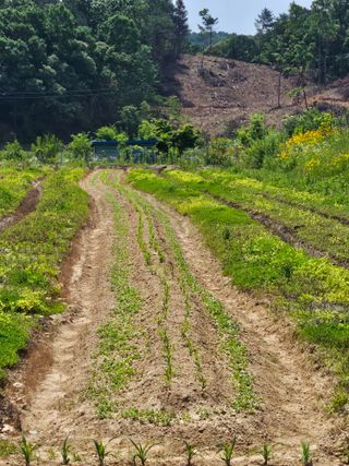 유진식님의 자유주제 · 자유게시판 작성글 사진