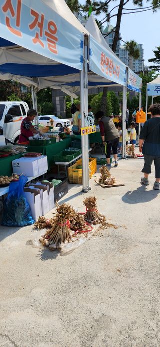 하은와송~♡♡♡~님의 자유주제 · 자유게시판 작성글 사진