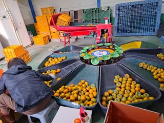 단감사랑 옥철농장님의 🎤어떤 노래 좋아하세요? · 참여글 작성글 사진