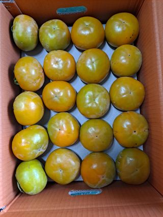 단감사랑 옥철농장님의 🎤어떤 노래 좋아하세요? · 참여글 작성글 사진