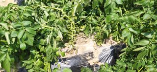 김영문님의 자유주제 · 자유게시판 작성글 사진