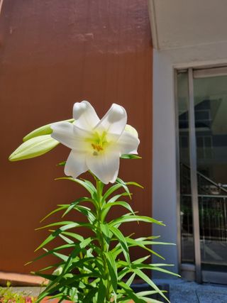 박종례님의 🎤어떤 노래 좋아하세요? · 참여글 작성글 사진