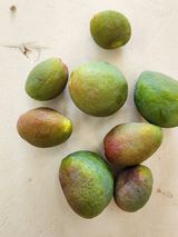 팜모닝 자두·병해충상담 게시글 이미지