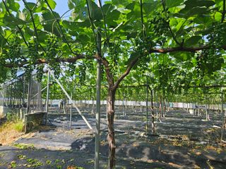 드라곤해드님의 자유주제 · 자유게시판 작성글 사진