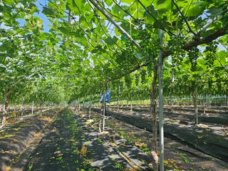 드라곤해드님의 자유주제 · 자유게시판 작성글 사진