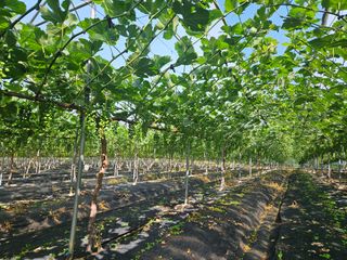 드라곤해드님의 자유주제 · 자유게시판 작성글 사진