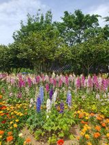 팜모닝 🎤어떤 노래 좋아하세요?·참여글 게시글 이미지