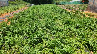 안종연님의 자유주제 · 자유게시판 작성글 사진