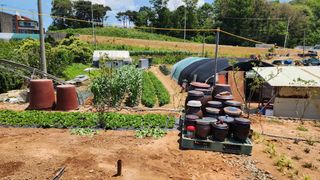 안종연님의 자유주제 · 자유게시판 작성글 사진