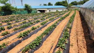 안종연님의 자유주제 · 자유게시판 작성글 사진