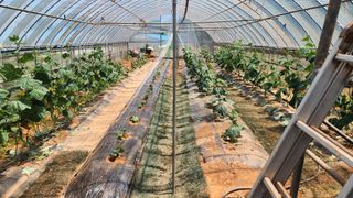 안종연님의 자유주제 · 자유게시판 작성글 사진