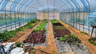 안종연님의 자유주제 · 자유게시판 작성글 사진