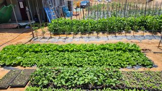 안종연님의 자유주제 · 자유게시판 작성글 사진